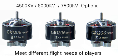 GEP-GR1206-4500kv 2-4S Brushless Motor - ウインドウを閉じる